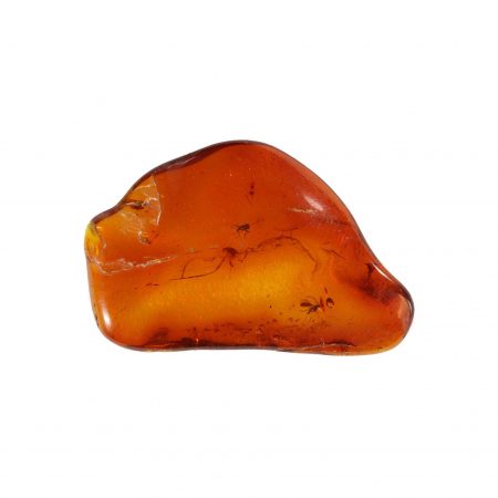 Amber, Dark Thick Essential Oil