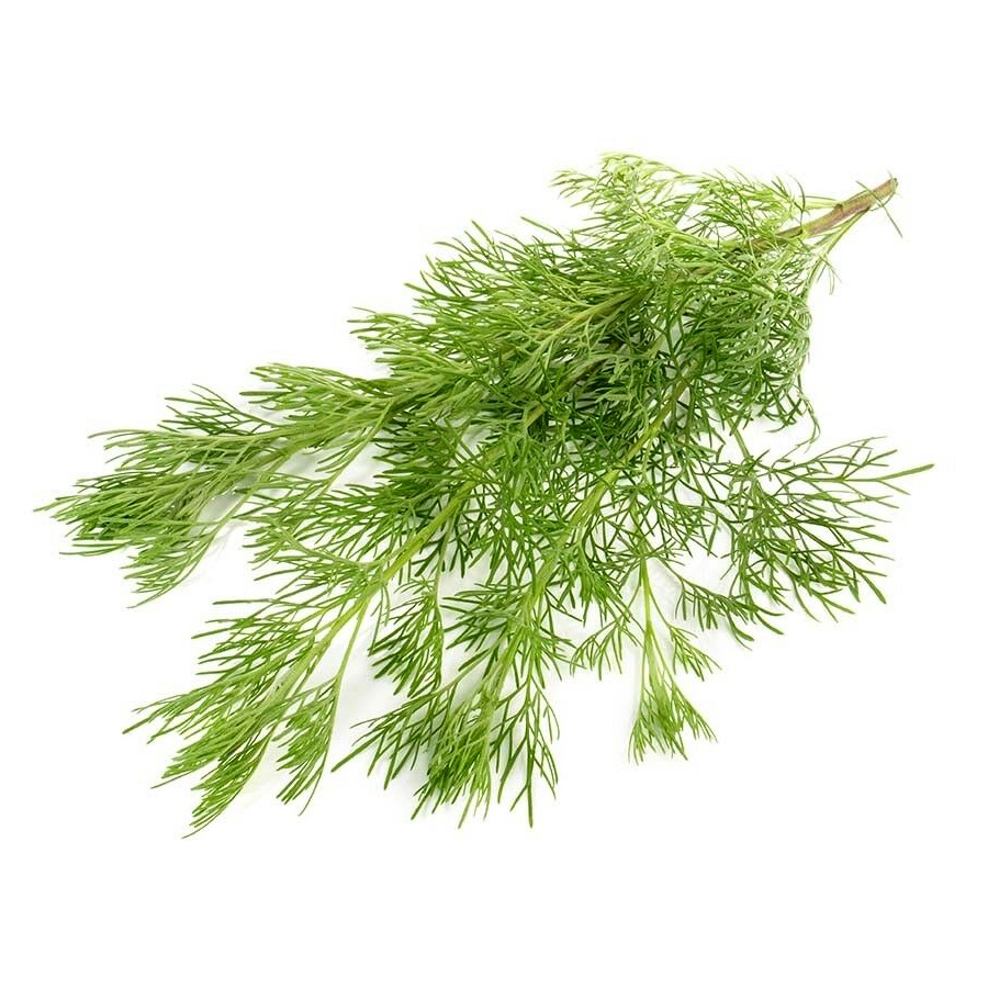 Artemisia Essential Oil