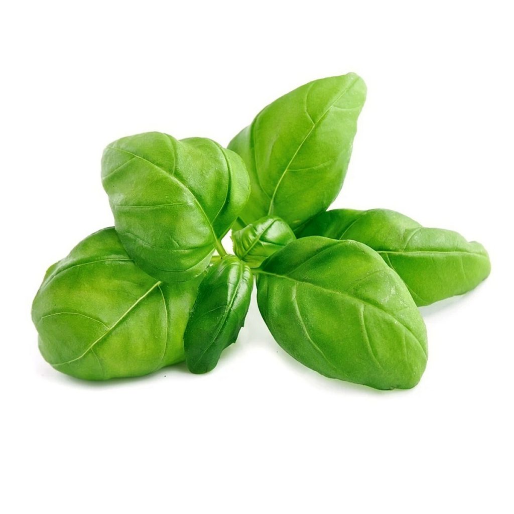 Basil, Sweet 3rd Essential Oil