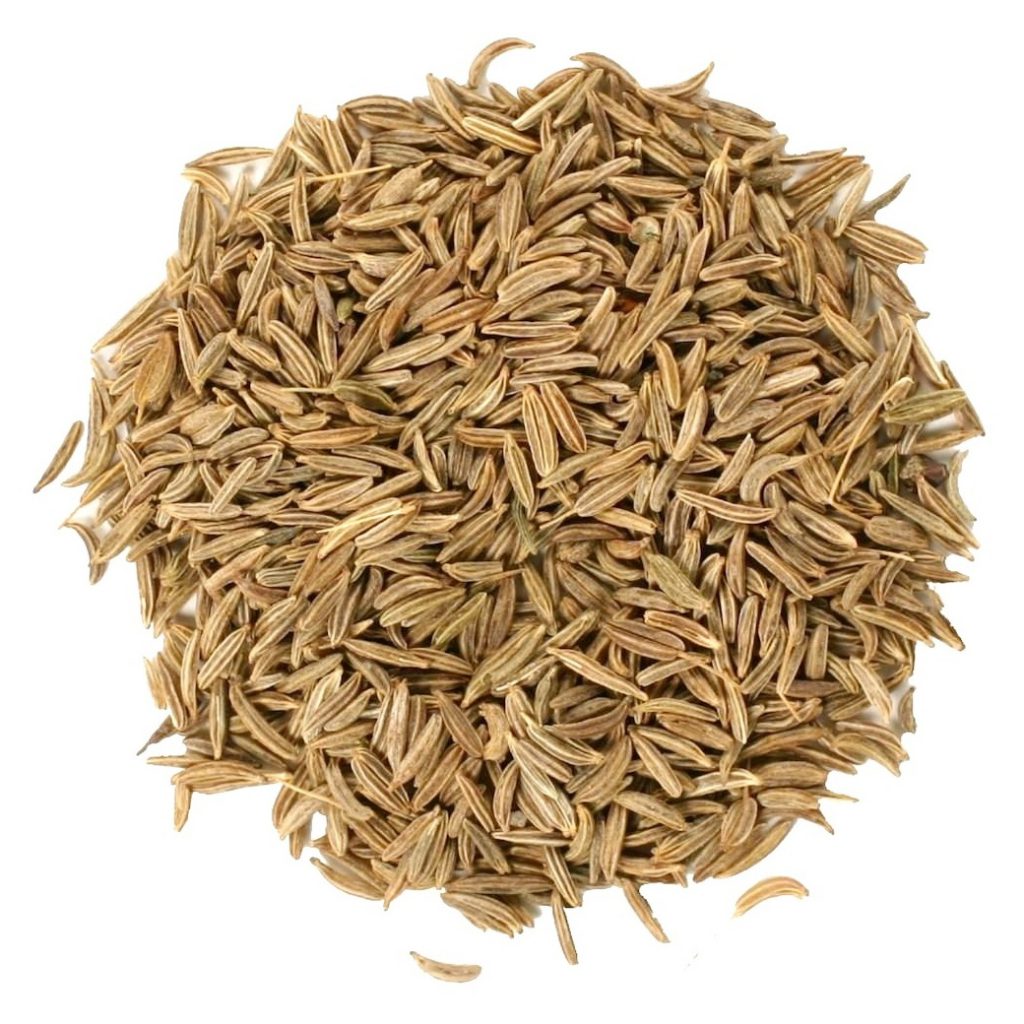 Caraway Seed Essential Oil