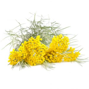 Everlasting, Absolute, Solid Essential Oil
