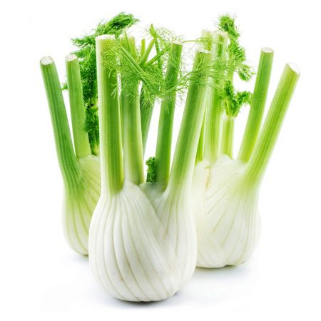 Fennel, Sweet Essential Oil