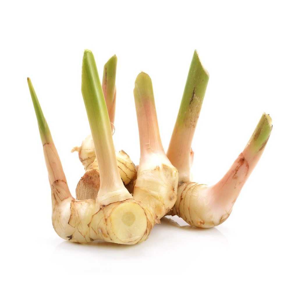 Galangal 1st Essential Oil