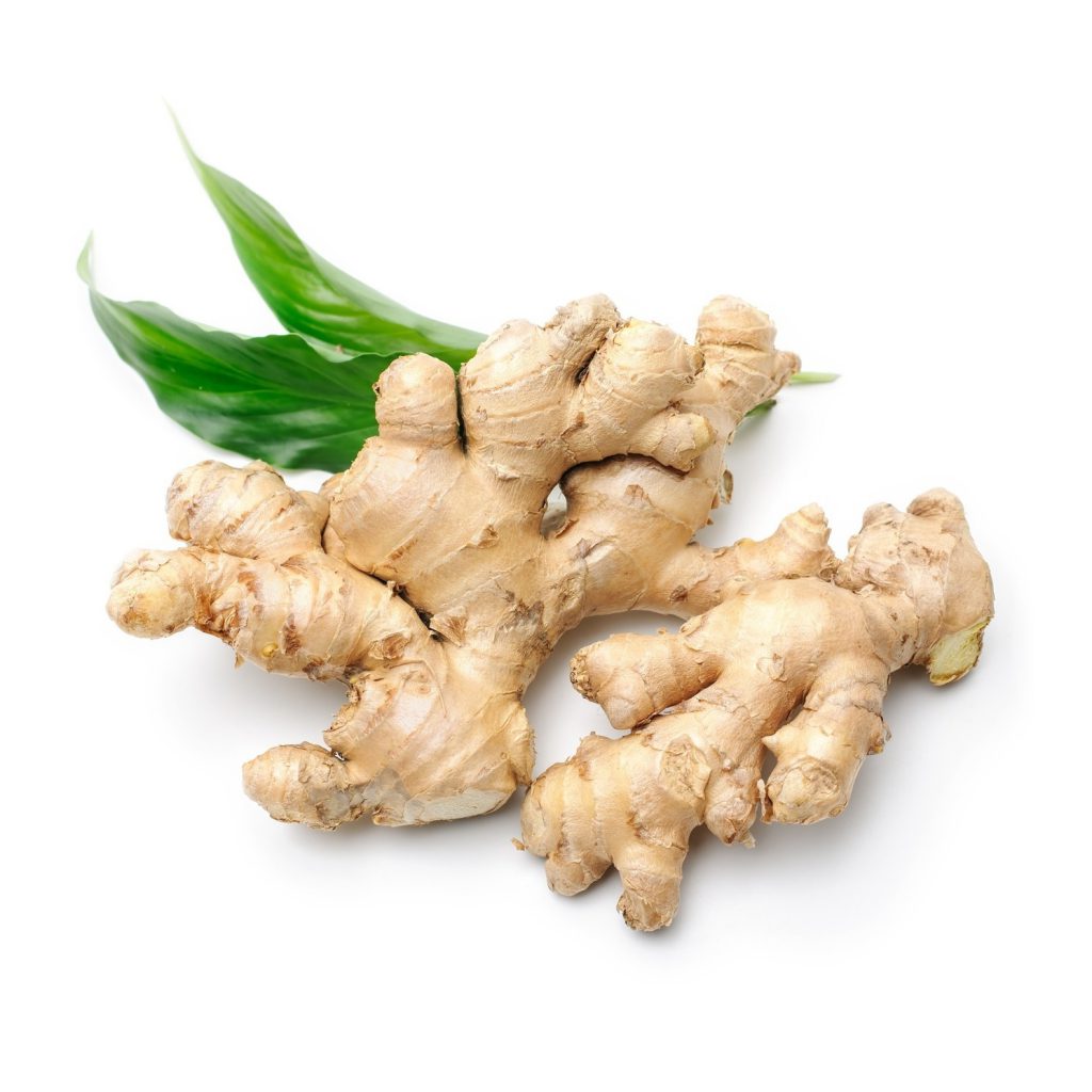 Ginger 1st Essential Oil