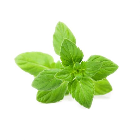 Pennyroyal Essential Oil