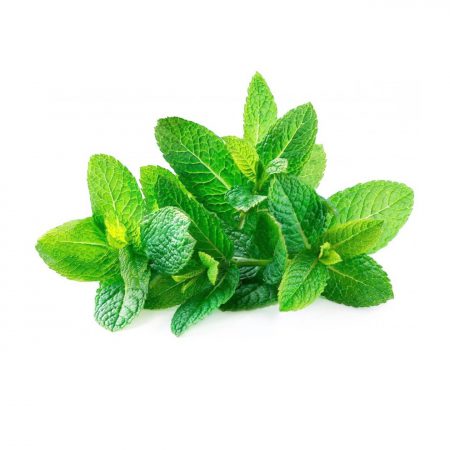 Peppermint Essential Oil