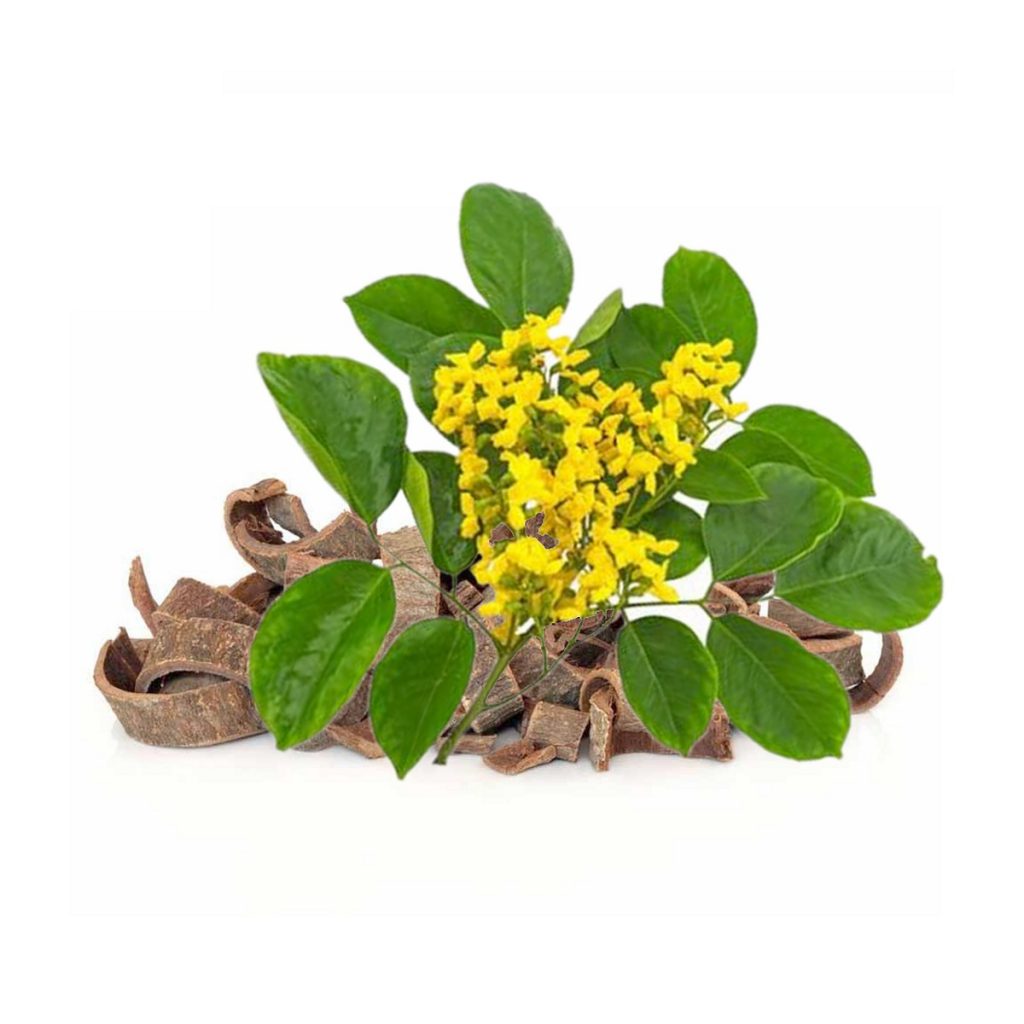 Rosewood Essential Oil