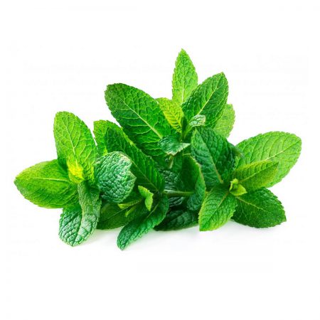 Spearmint 1st Essential Oil