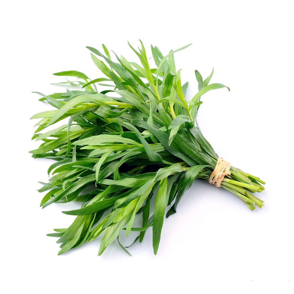 Tarragon Essential Oil