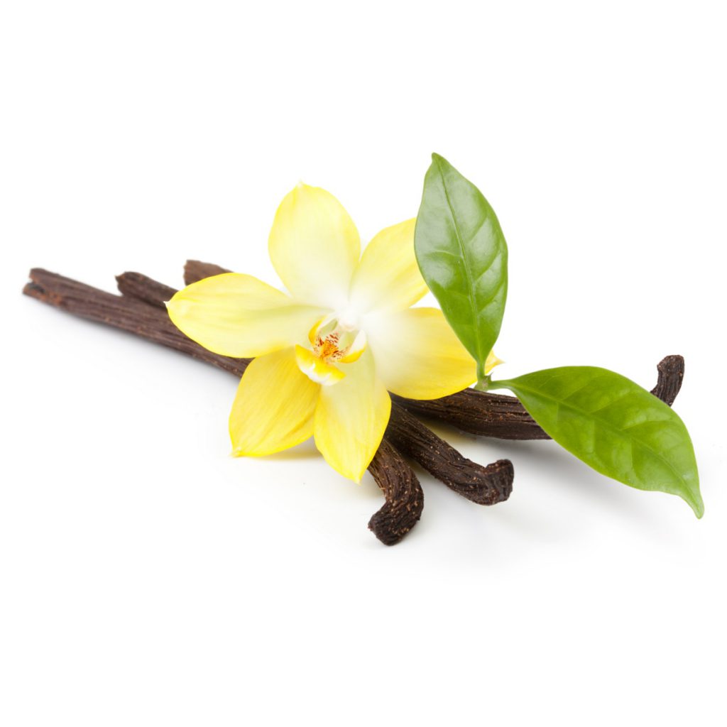 Vanilla, Dark 5th Essential Oil