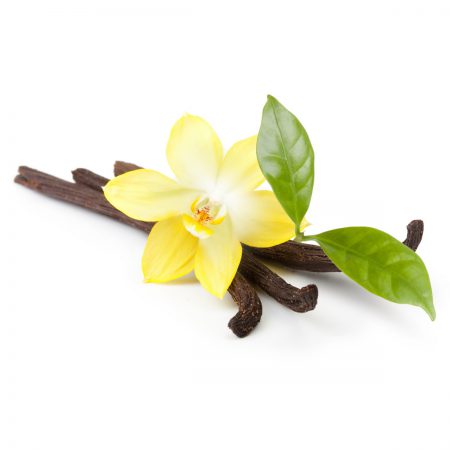 Vanilla, Dark 5th Essential Oil