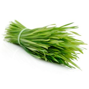 Vetiver Essential Oil