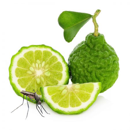 Mosquito Repellent #2, Bergamot Essential Oil Blend