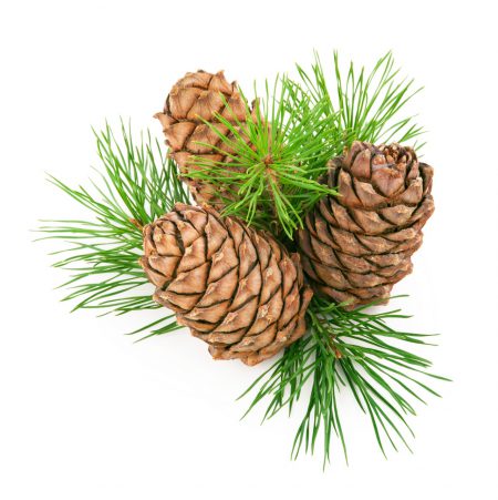 Cedar Closet Essential Oil Blend