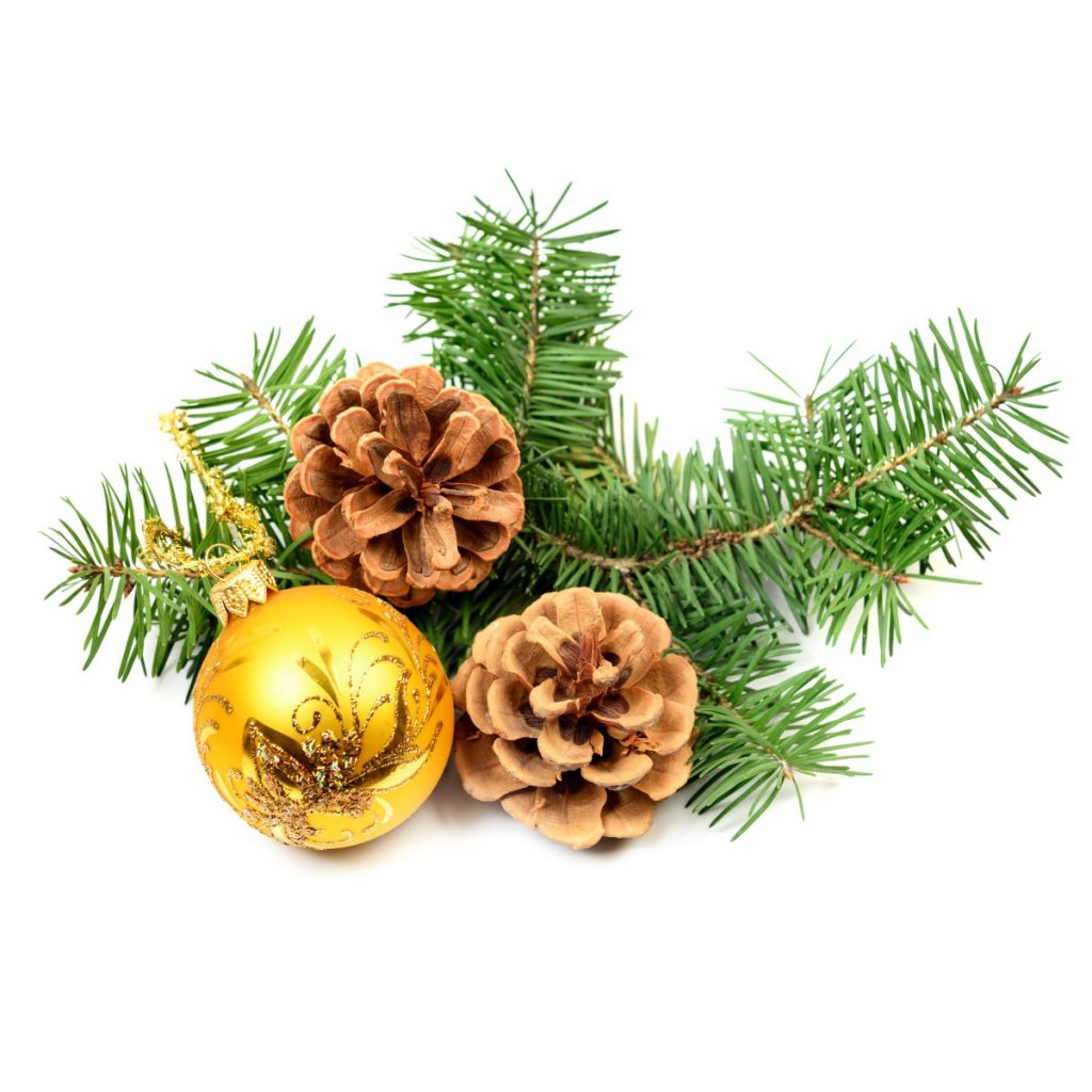 Evergreen (Woodsy) Xmas Pine Essential Oil Blend