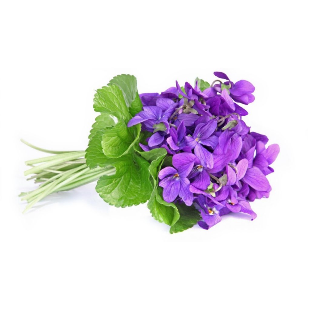 Violet Flower Water, French, 4oz