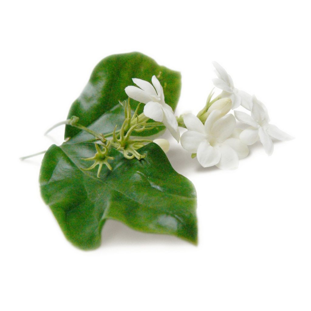 Pikake, Hawaiian Fragrance Oil