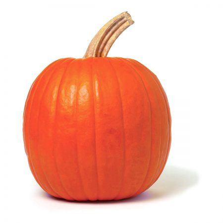 Pumpkin Fragrance Oil