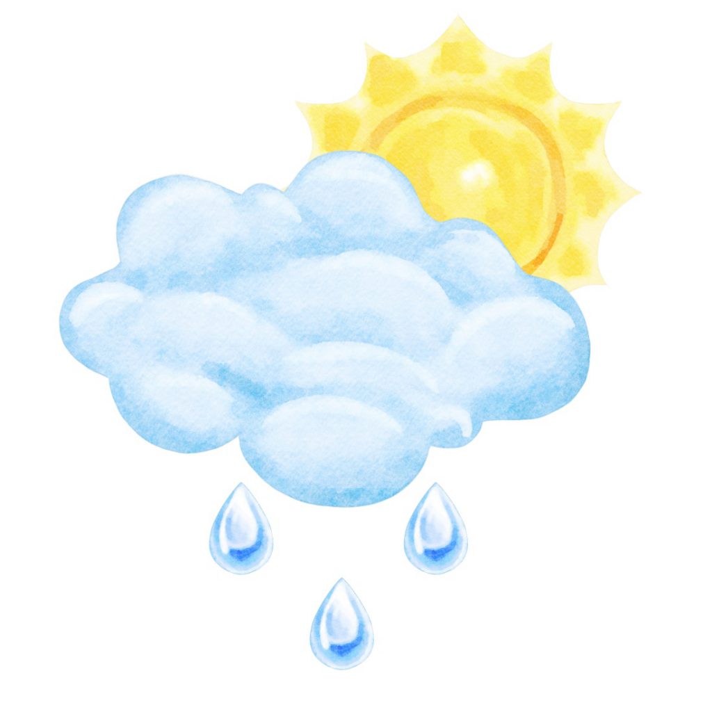 Rain, Sweet Summer Fragrance Oil