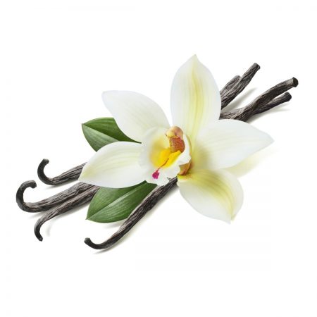 Vanilla, Light Fragrance Oil