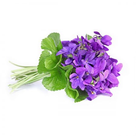 Violet, Superior French Fragrance Oil