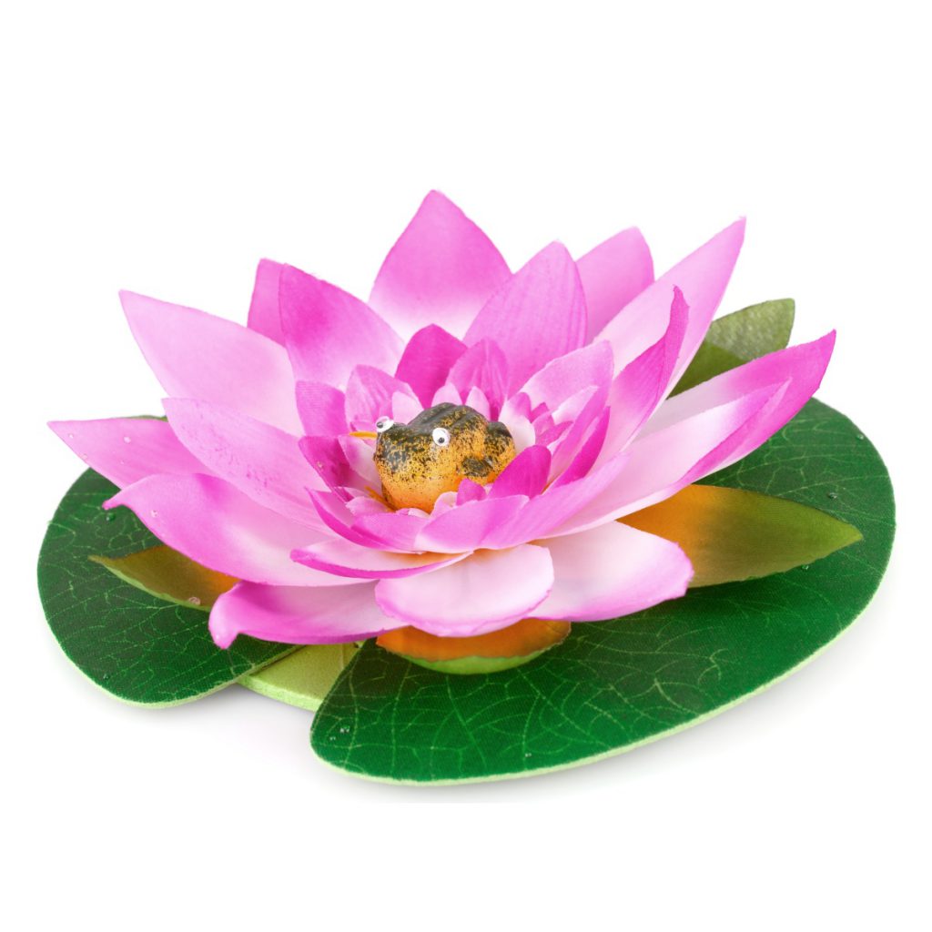 Water Lily Fragrance Oil
