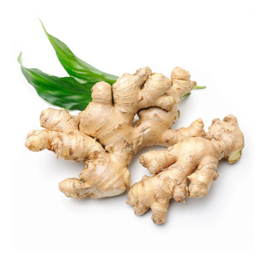 Ginger, White Fragrance Oil
