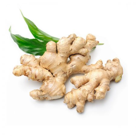 Ginger, White Fragrance Oil