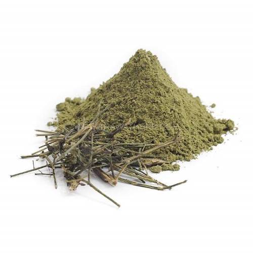 Andrographis Herb Powder