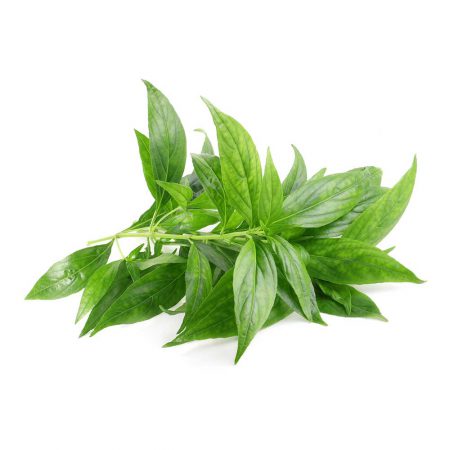 Andrographis Herb Powder