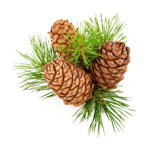 Pine Bath Blend, 4 oz
