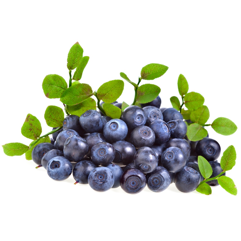 Bilberry Leaf Powder, Organic