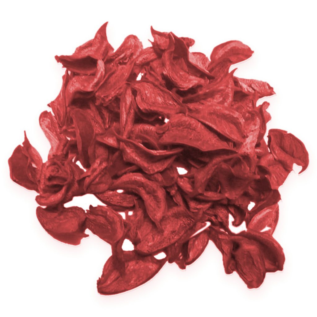Cotton Pods, Brilliant Red