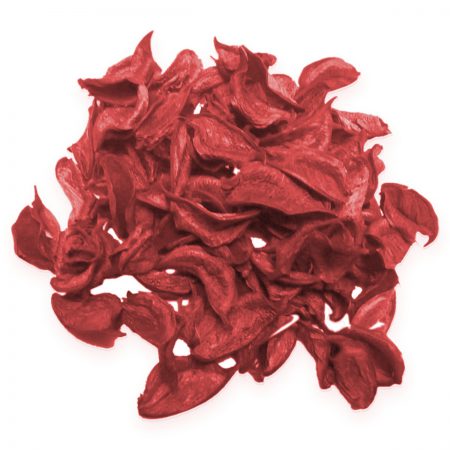 Cotton Pods, Brilliant Red