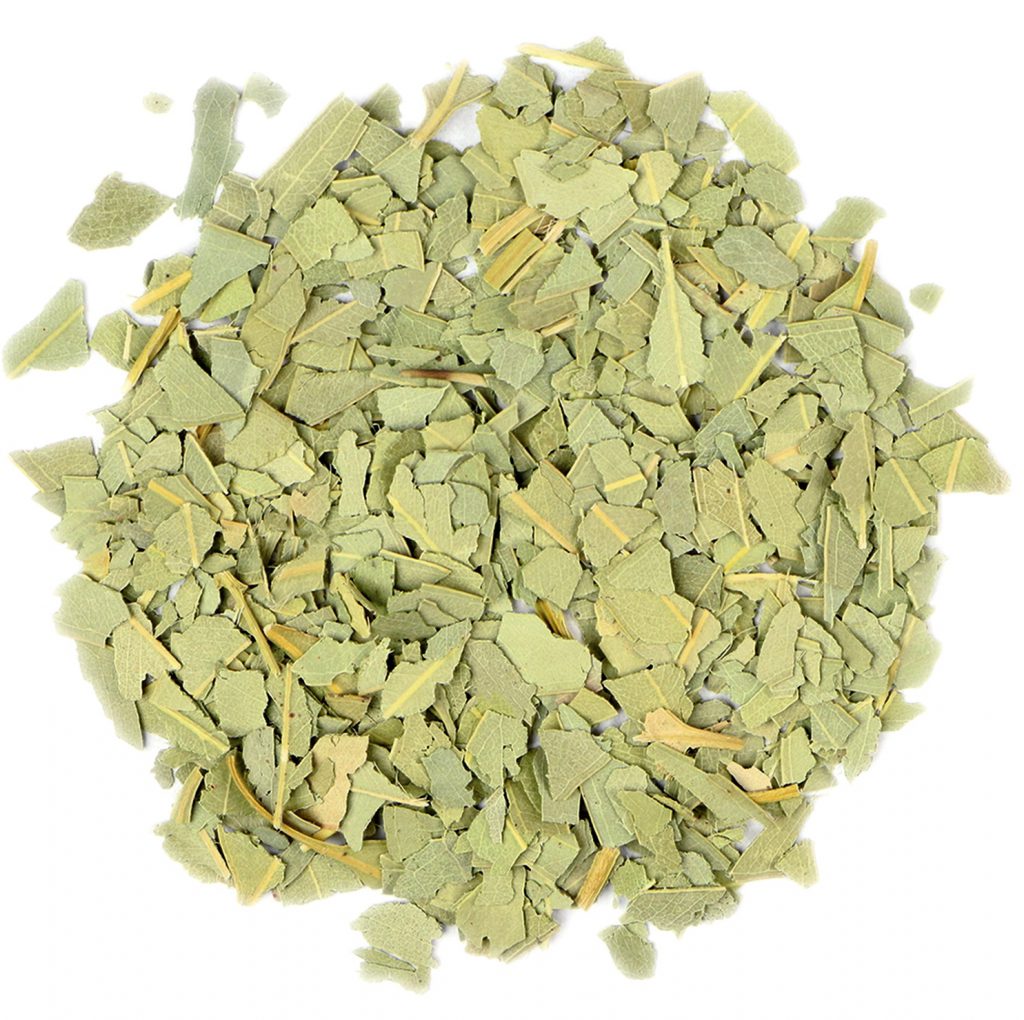 Eucalyptus Leaf, Cut