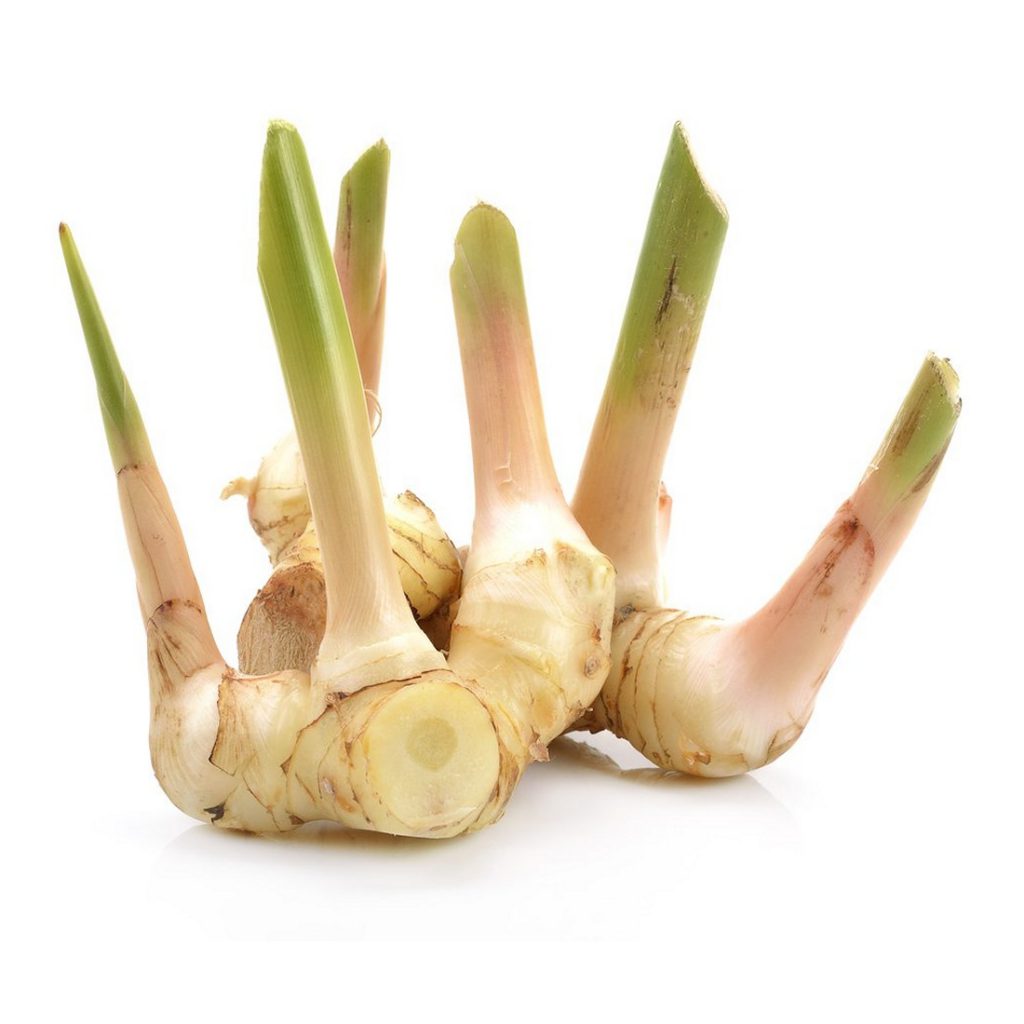 Galangal Root, Whole