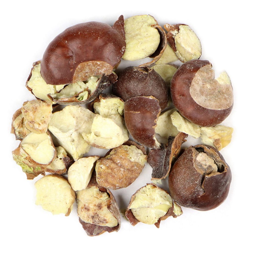 Horse Chestnut, Buckeye, Cut, Organic