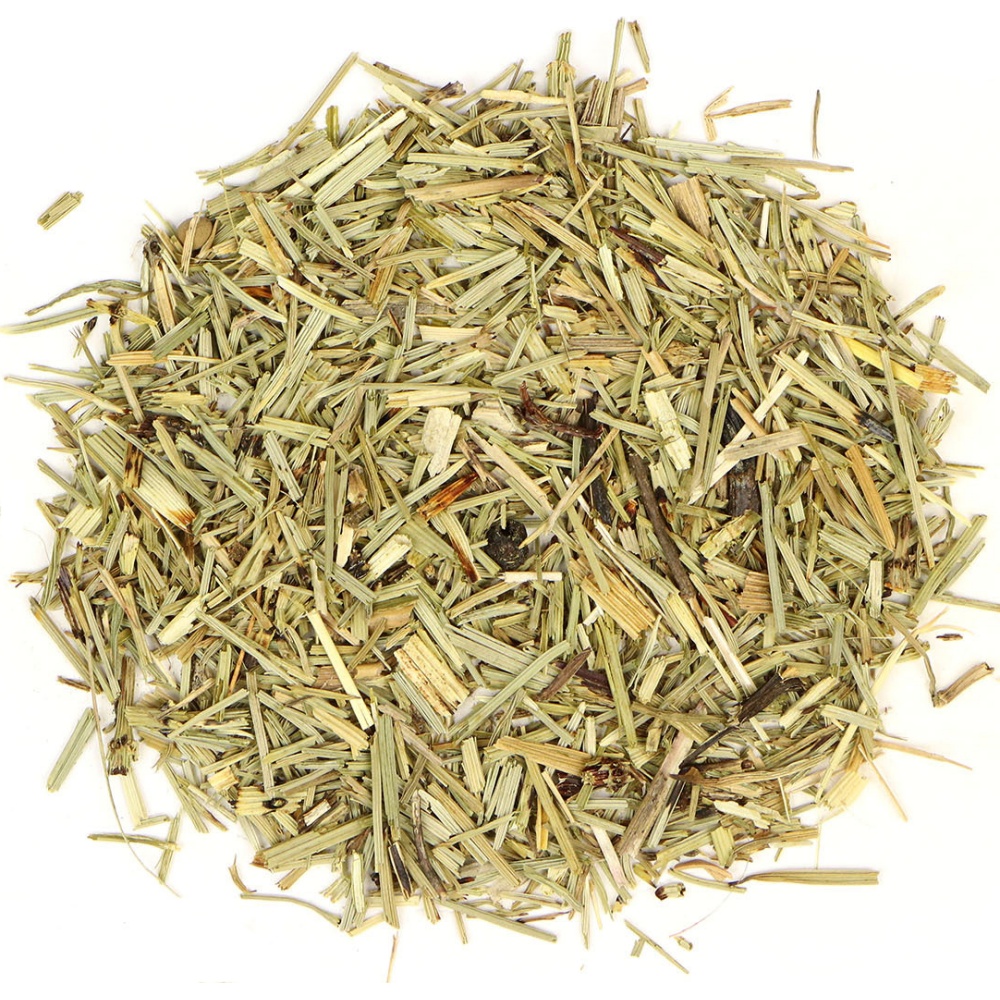 Horsetail Herb, Cut Organic (Shavegrass)