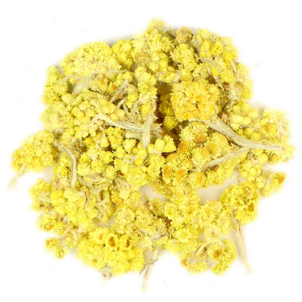Life Everlasting Flowers, Whole Select, Brilliant Yellow Organic (Rabbit Tobacco)