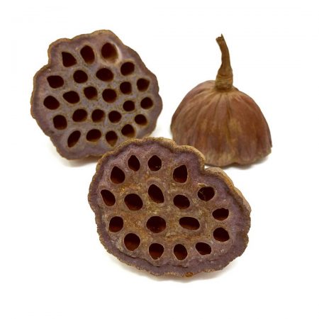 Lotus Pods, Natural, Medium