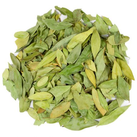 Myrtle Leaf, Cut