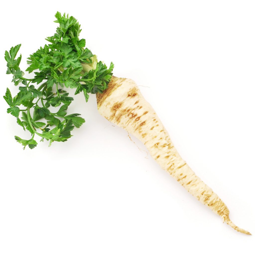 Parsley Root Powder