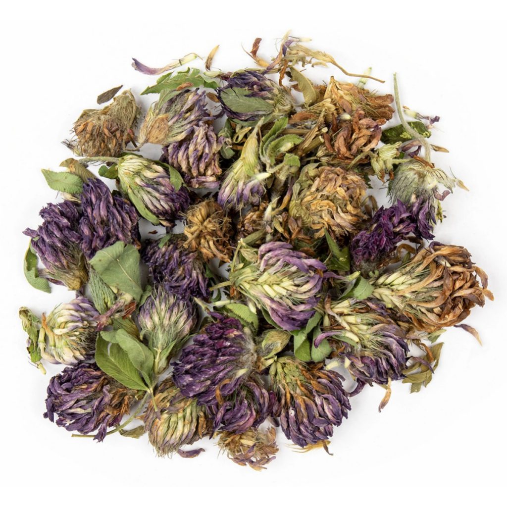 Red Clover Blossom, Whole Organic
