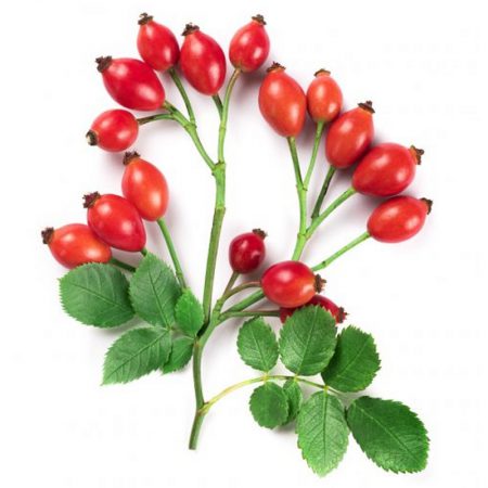 Rose Hips, Whole Organic