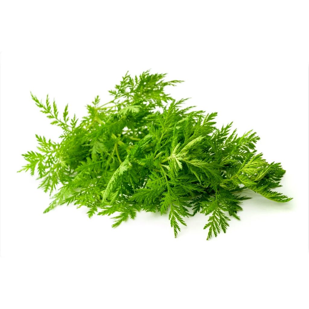 Sweet Annie Herb, Cut