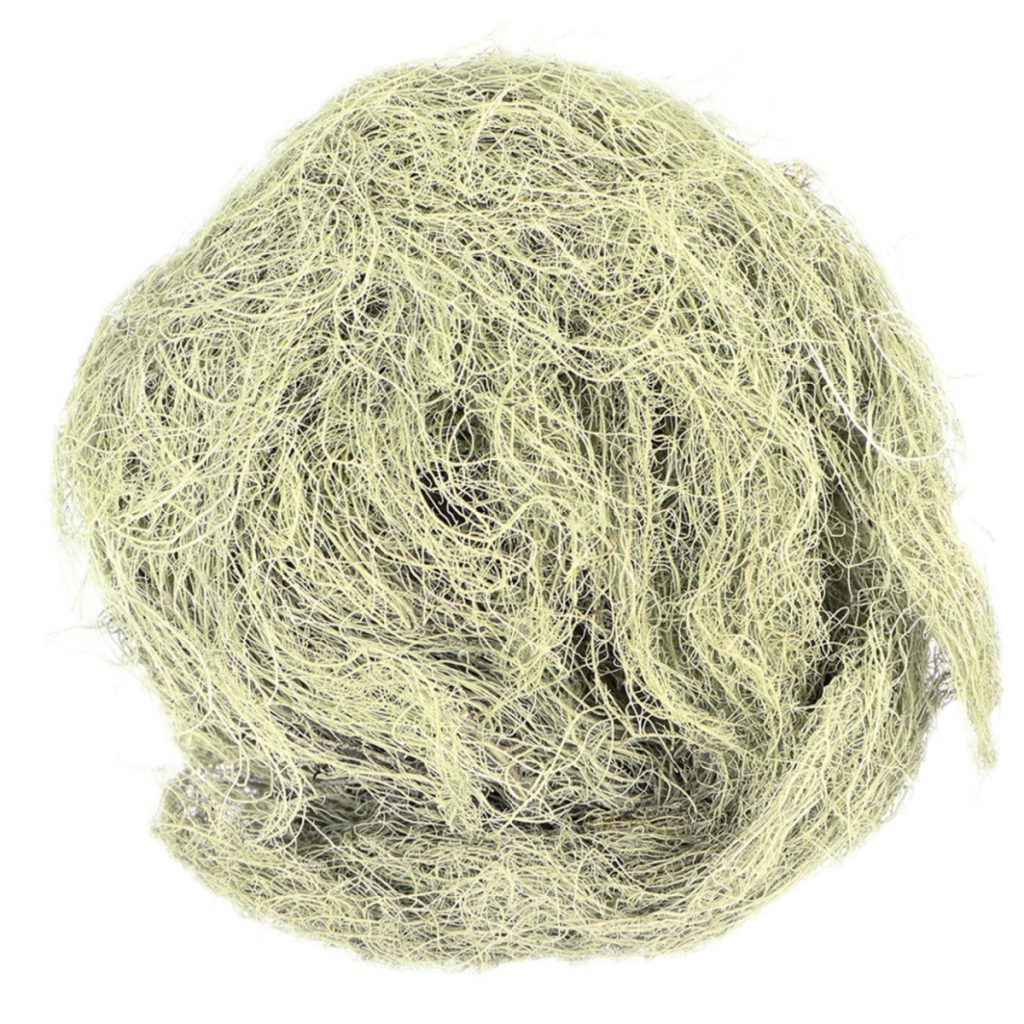 Usnea Lichen Whole, Organic