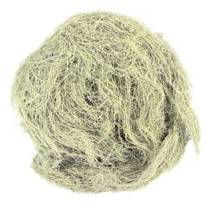 Usnea Lichen Whole, Organic