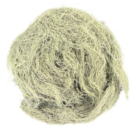 Usnea Lichen Whole, Organic