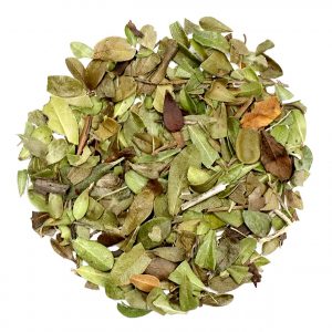 Uva Ursi Leaf, Cut