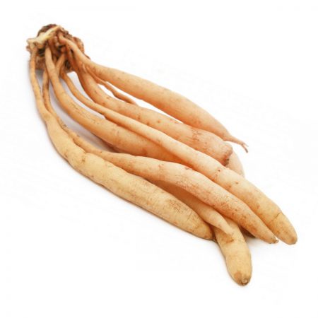 Asparagus Root Powder, Organic
